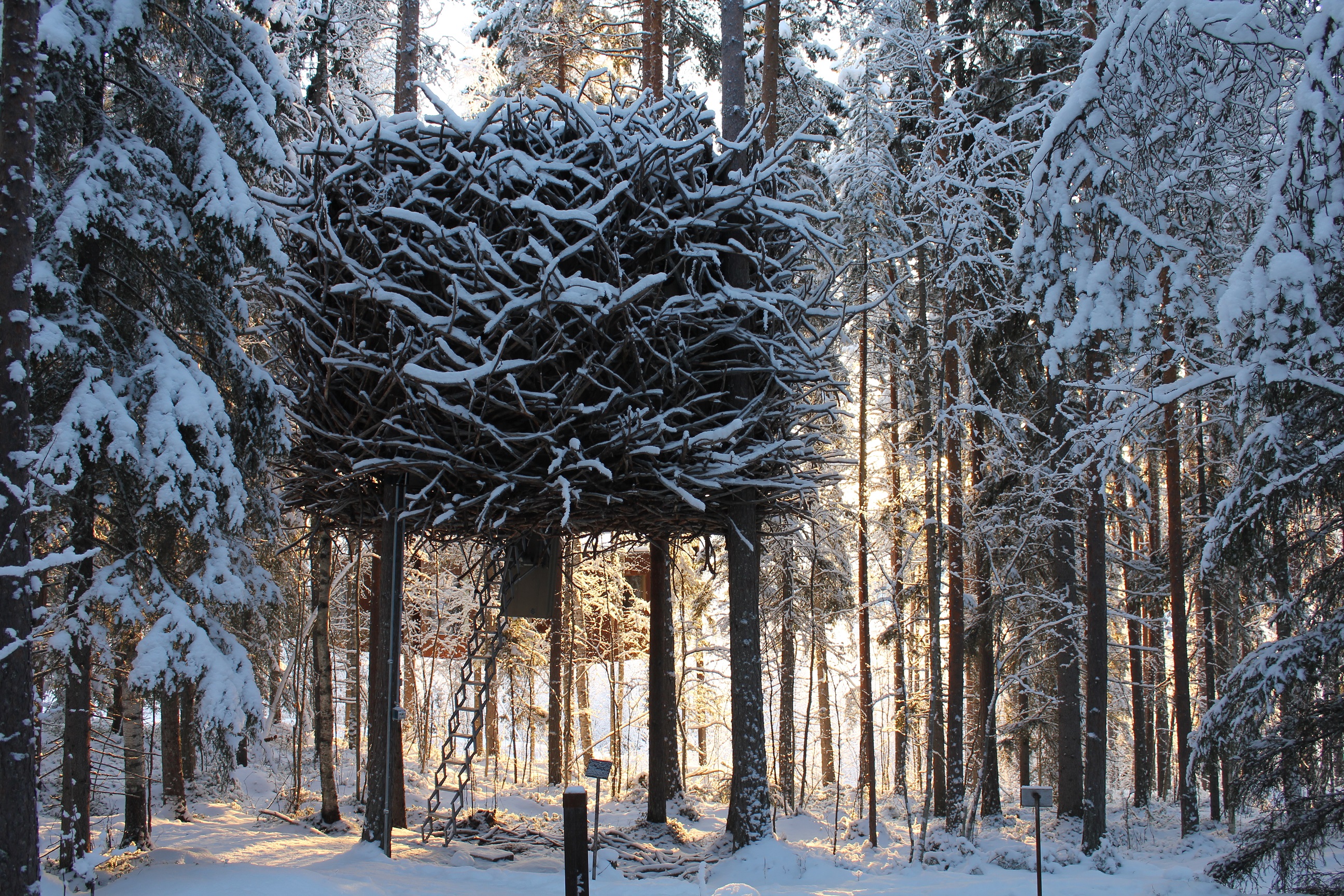 3 Awesome Treehouses You Will Want to Sleep in at Sweeden's Tree hotel