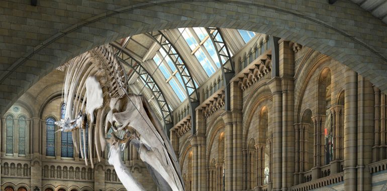 Discover 5 of The Most Amazing New Museums of The World